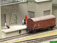 09Pegasus (04).JPG
